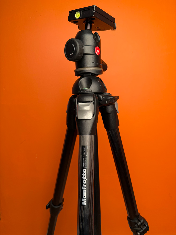 bigmanfrotto